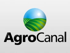 Logo Oficial AgroCanal HD