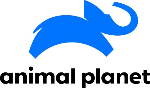 Logo Oficial Animal Planet HD