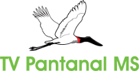 Logo Oficial TV Pantanal MS HD